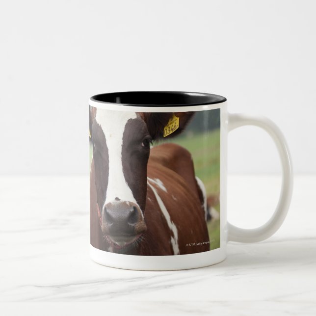Taza Bicolor Pasto de vacas (Derecha)