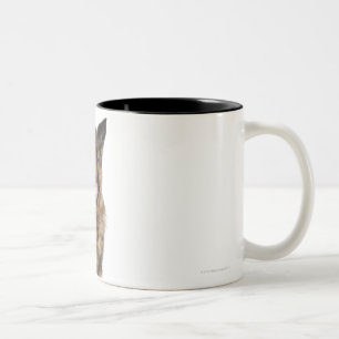 Taza Bicolor Pastor alemán