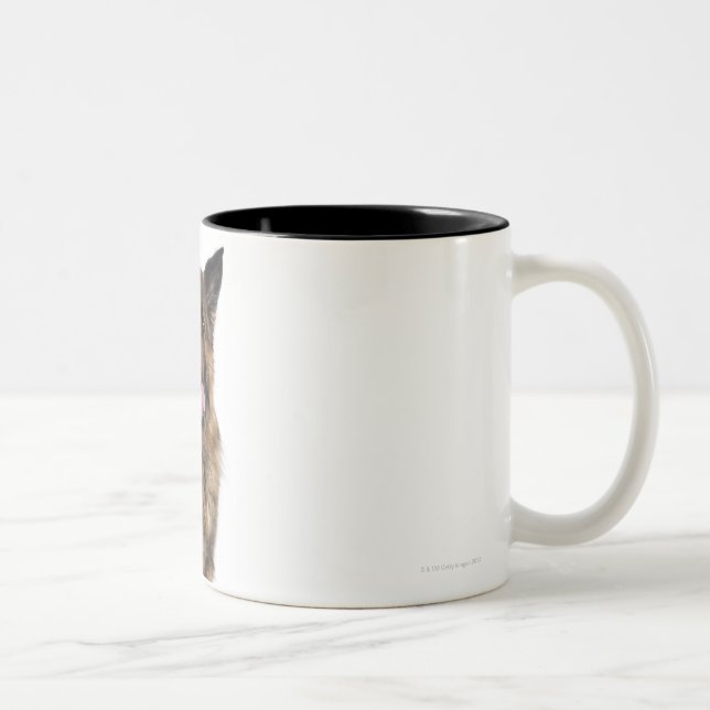 Taza Bicolor Pastor alemán (Derecha)