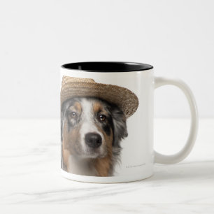 Taza Bicolor Pastor australiano (10 meses) a que lleva