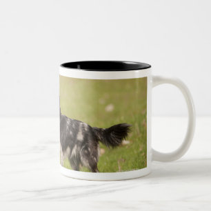 Taza Bicolor Pastor pirenáico en la actitud alerta que espera