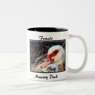 Taza Bicolor Pato de Muscovy femenino