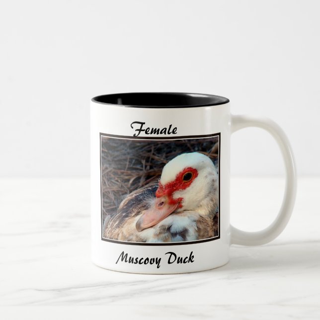 Taza Bicolor Pato de Muscovy femenino (Derecha)