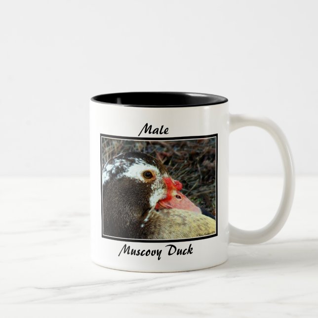 Taza Bicolor Pato de Muscovy masculino (Derecha)