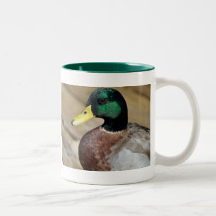 Taza Bicolor Pato del pato silvestre