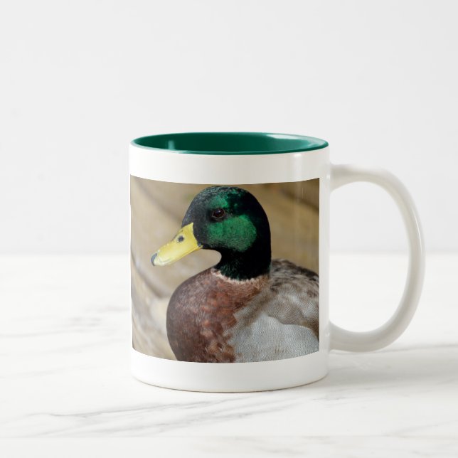 Taza Bicolor Pato del pato silvestre (Derecha)