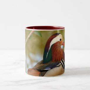 Taza Bicolor Pato Mandarin