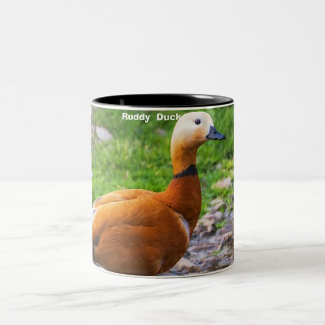 Taza Bicolor Pato rudo (Centro)