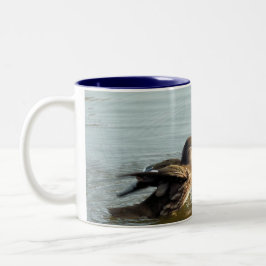 Taza Bicolor Patos de mandarín que cortejan