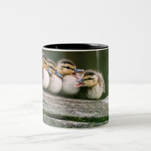 Taza Bicolor Patos del bebé