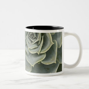 Taza Bicolor Patrón de cactus