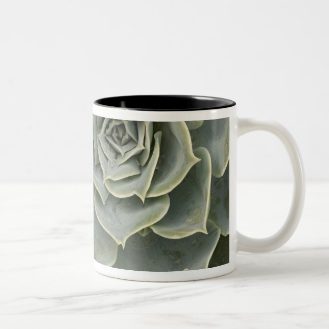 Taza Bicolor Patrón de cactus (Derecha)
