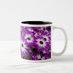 Taza Bicolor Patrón de flores, Jardines Kuekenhof, Lisse,