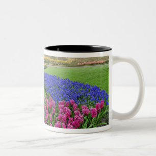Taza Bicolor Patrón de jacinto de uva, tulipanes y 2