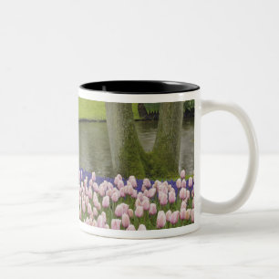Taza Bicolor Patrón de tulipanes y flores de jacinto de uva,