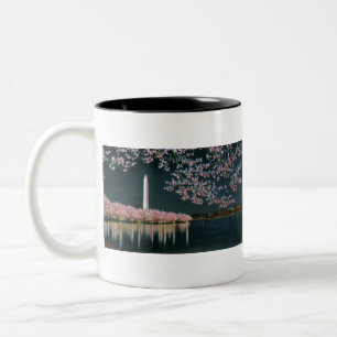 Taza Bicolor PAU42 Washington en Night.tif