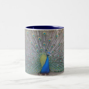 Taza Bicolor Pavo real