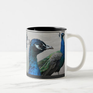 Taza Bicolor Peacock Mug