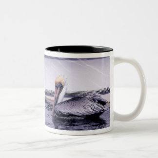Taza Bicolor Pelican Gliding