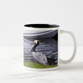 Taza Bicolor Pelican Poser