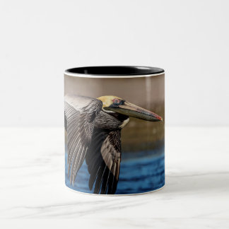 Taza Bicolor Pelícano en vuelo