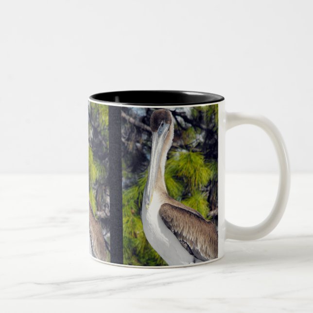 Taza Bicolor Pelícano pardo juvenil (Derecha)