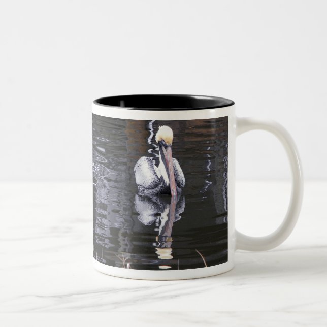 Taza Bicolor Pelícano Reflejando (Derecha)