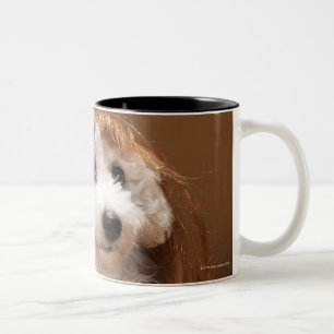 Taza Bicolor Peluca del jengibre del perrito que lleva