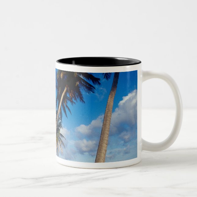 Taza Bicolor Península de La Samana, República Dominicana, (Derecha)