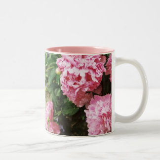Taza Bicolor peonies rosados