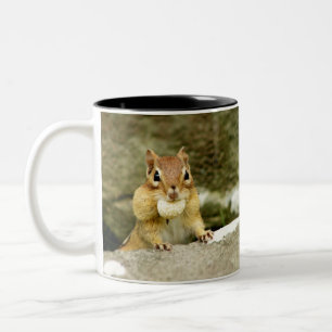 Taza Bicolor Pequeño Chipmunk hambriento
