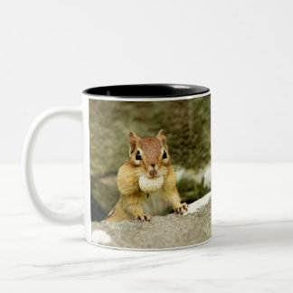 Taza Bicolor Pequeño Chipmunk hambriento