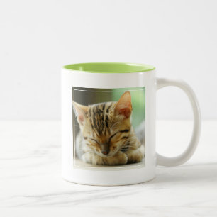 Taza Bicolor Pequeño gatito del bebé el dormir