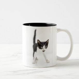 Taza Bicolor Pequeño gato