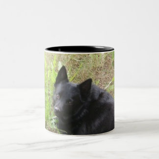 Taza Bicolor pequeño zorro