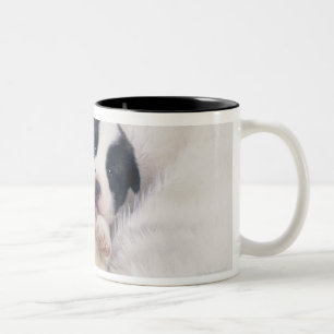 Taza Bicolor Perrito 2