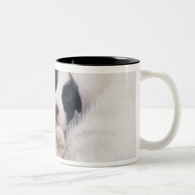 Taza Bicolor Perrito 2 (Derecha)