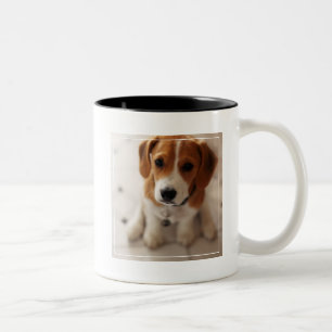 Taza Bicolor Perrito 2 del beagle