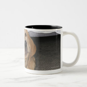 Taza Bicolor Perrito amarillo del laboratorio pegado debajo de