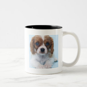 Taza Bicolor Perrito arrogante del perro de aguas de rey
