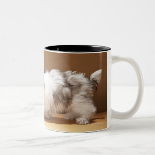 Taza Bicolor Perrito con la cabeza en tarro de galletas