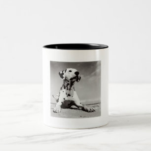 Taza Bicolor Perrito de Dalmation