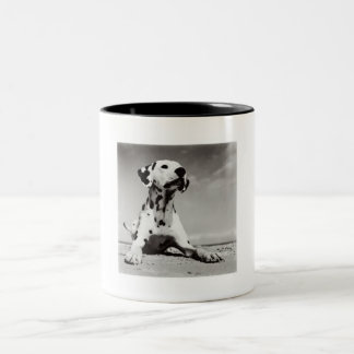 Taza Bicolor Perrito de Dalmation