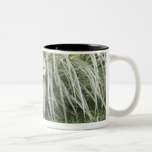 Taza Bicolor Perrito de Goldendoodle que se sienta debajo de