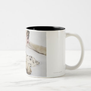 Taza Bicolor Perrito de great dane del Harlequin que duerme en