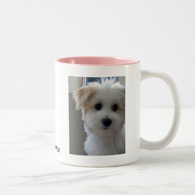 Taza Bicolor Perrito de Havanese (Derecha)
