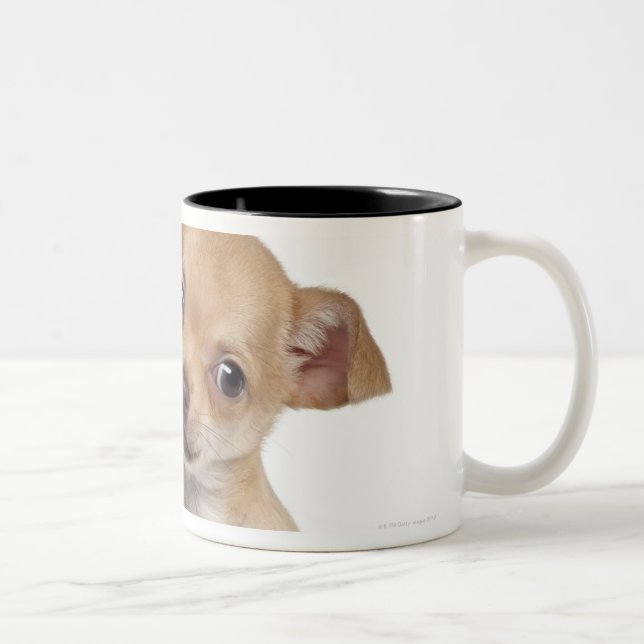 Taza Bicolor Perrito de la chihuahua (2 meses) (Derecha)