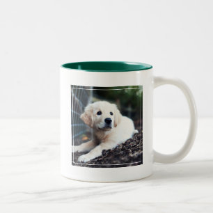 Taza Bicolor Perrito de Labrador que juega en el jardín