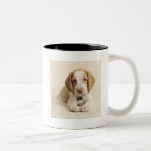 Taza Bicolor Perrito del beagle