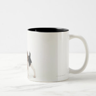Taza Bicolor Perrito del beagle